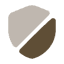 protection feature icon